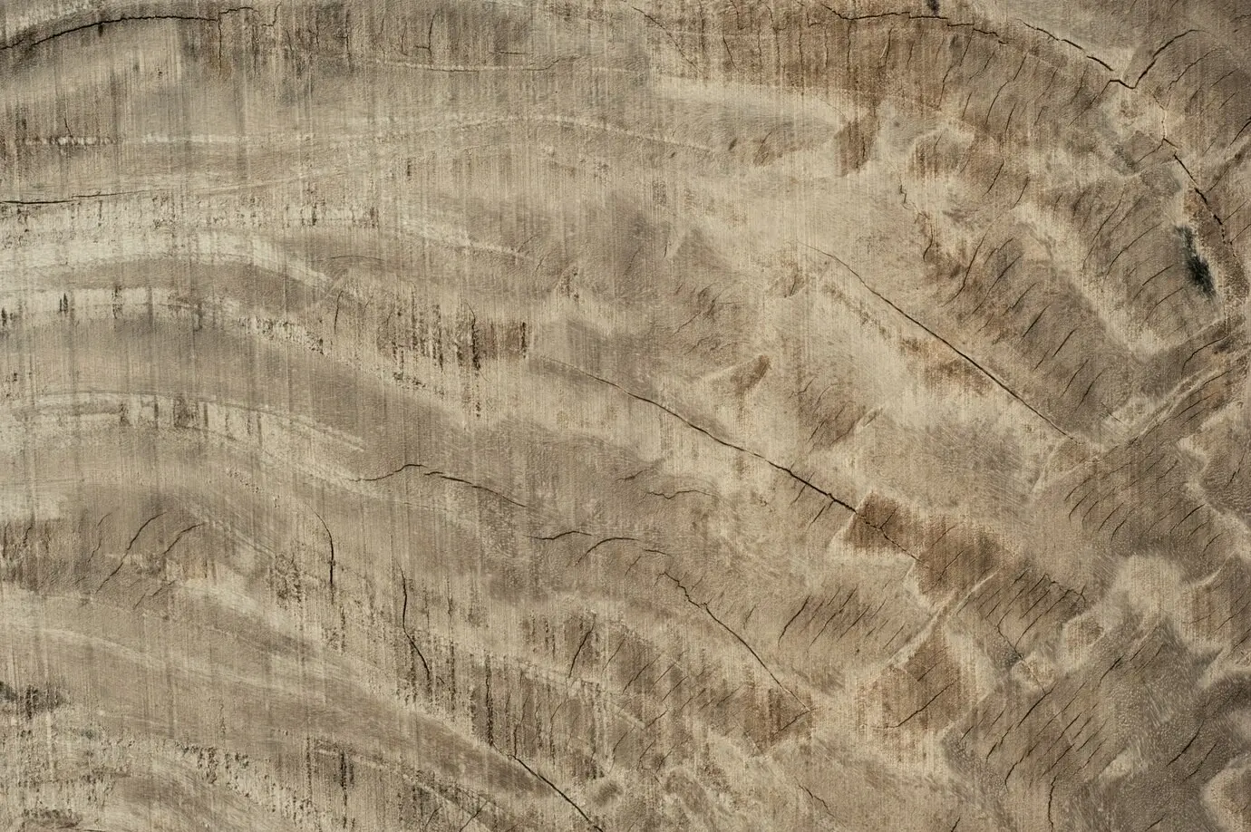 Texture of cracked wood